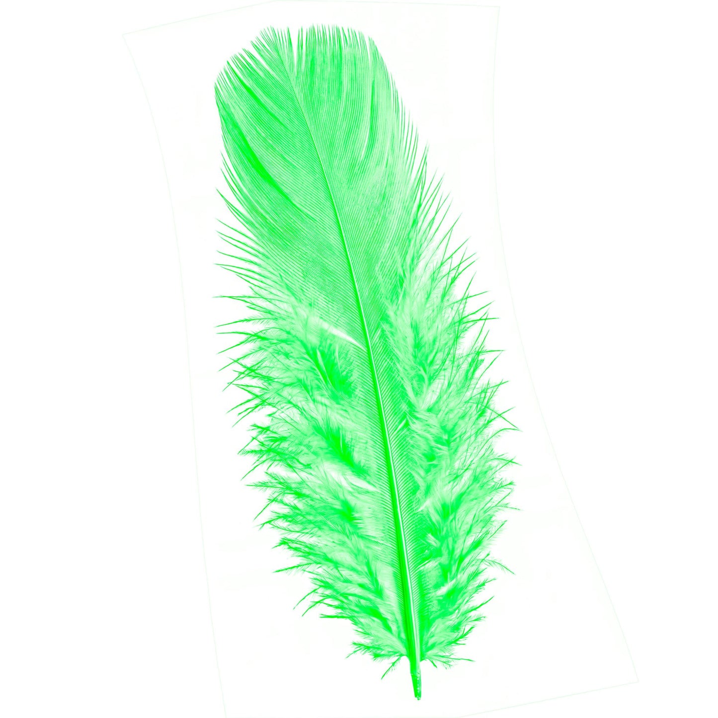 50 grüne Federn ca. 10 cm – ideal für Fasnacht & kreative Deko