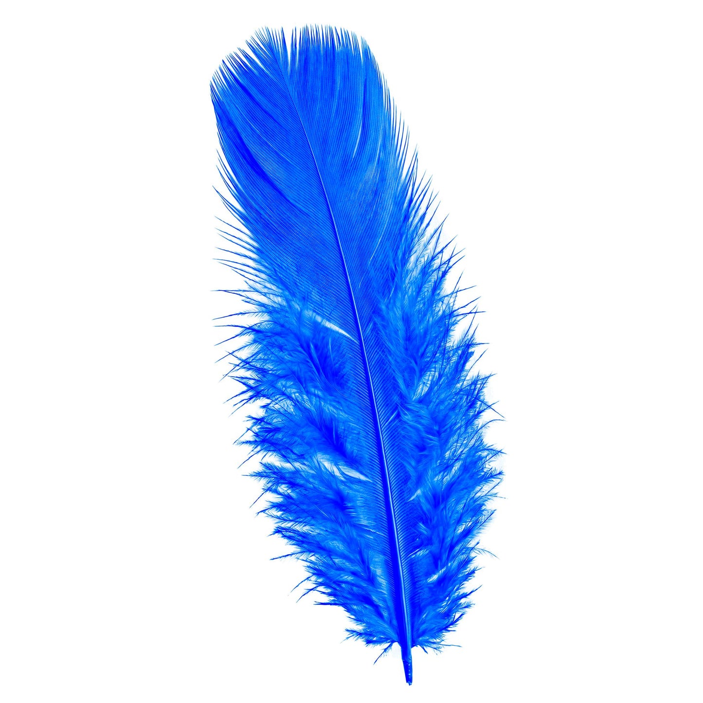 50 blaue Federn ca. 10 cm – Vielseitiges Deko- & Bastelmaterial für Fasnacht & Mottopartys