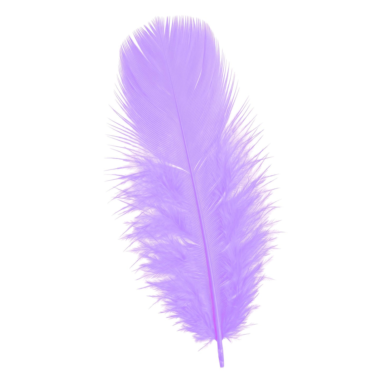 50 violette Federn ca. 10 cm – perfektes Zubehör für Fasnacht & kreative Dekoration