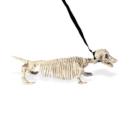 Widmann Dekoration Dackelskelett mit Leine 55 cm – Halloween- Fasnachts- und Karnevalsdeko