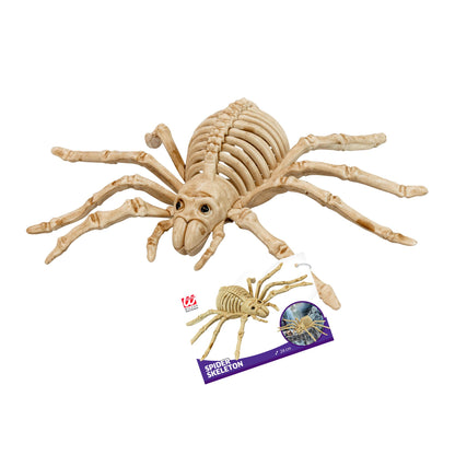 "SPINNEN SKELETT" 24 cm
