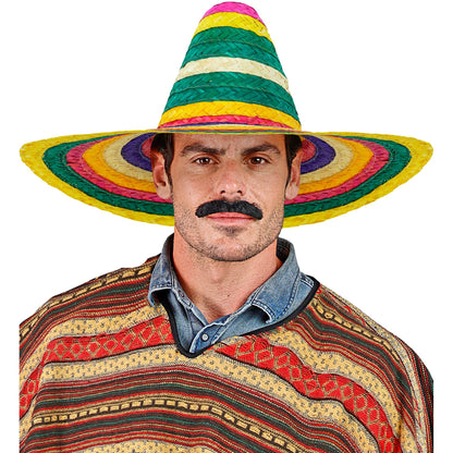 Mehrfarbiger Sombrero 50 cm aus Palmblatt von Widmann – Rückansicht