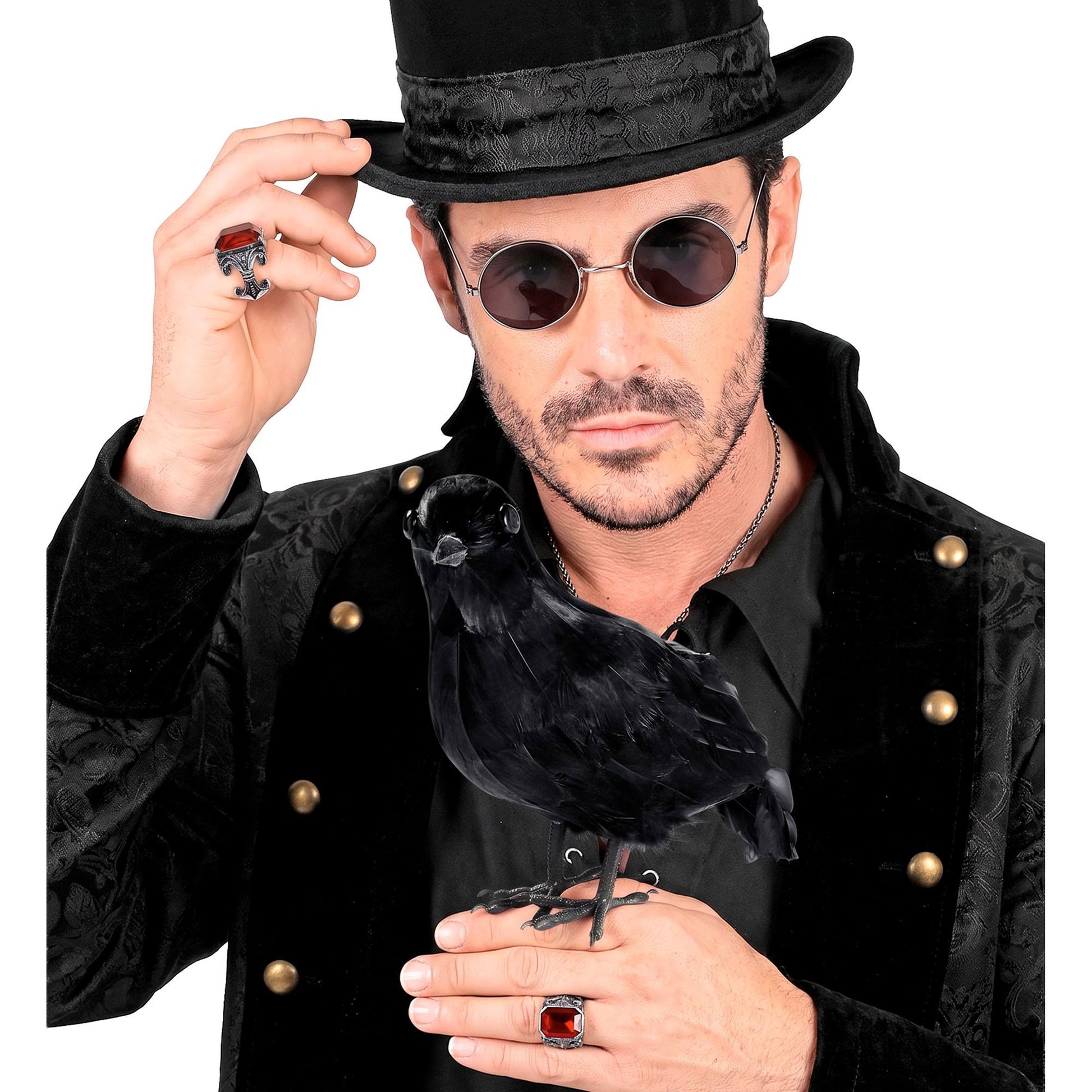 Widmann schwarze Federkrähe Dekorationsfigur 30 cm für Halloween – Rückansicht