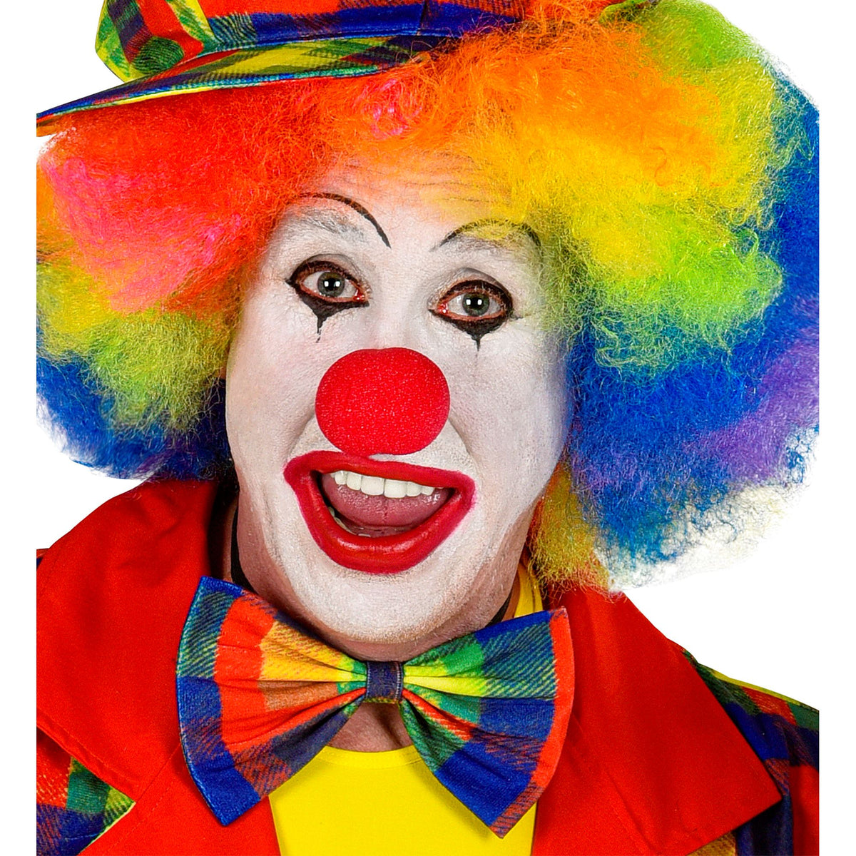 "CLOWN" (Fliege)