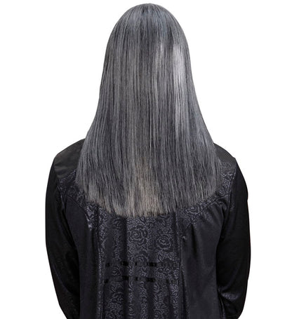 "PERÜCKE DREAM HAIR VIKTOR GRAU" in farbiger Box