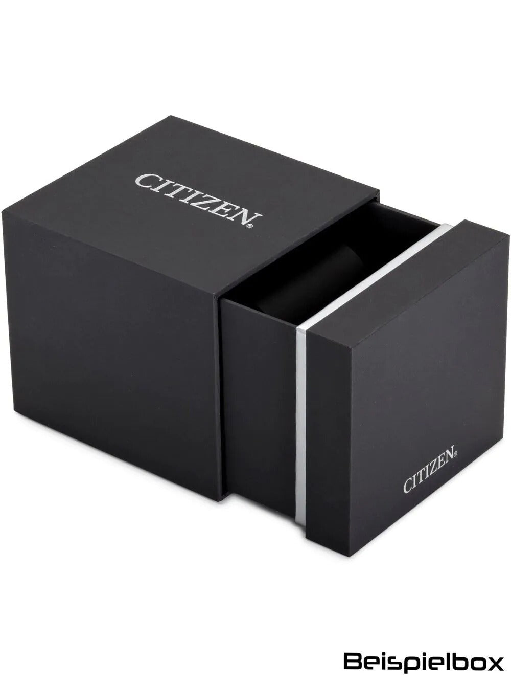 CITIZEN Mod. NJ0210-13L